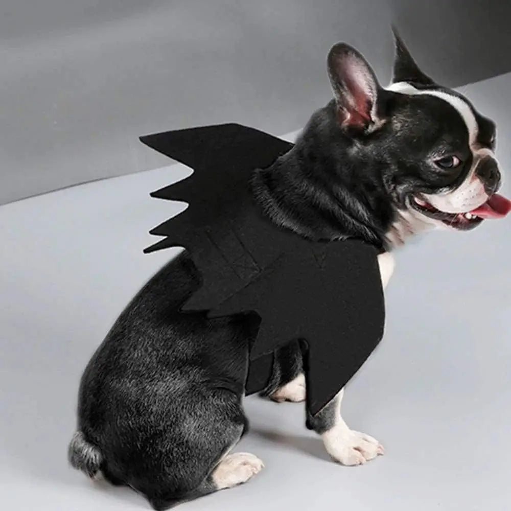Cute Cat & Dog Bat Wings – Pet Halloween Cosplay Costume