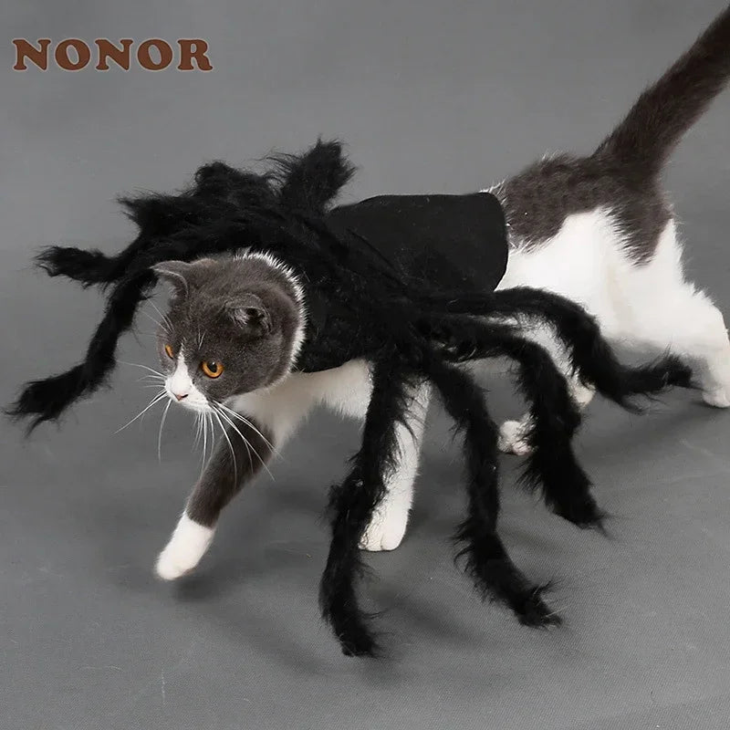 Pet Spider Costume – Halloween Dress-Up for Small Dogs & Cats