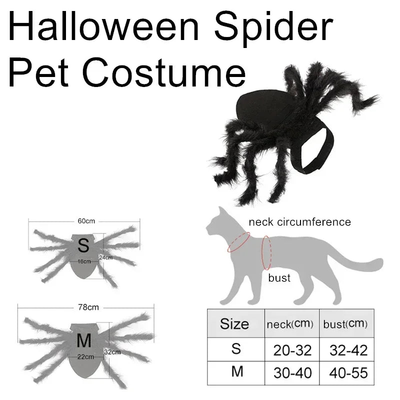 Pet Spider Costume – Halloween Dress-Up for Small Dogs & Cats