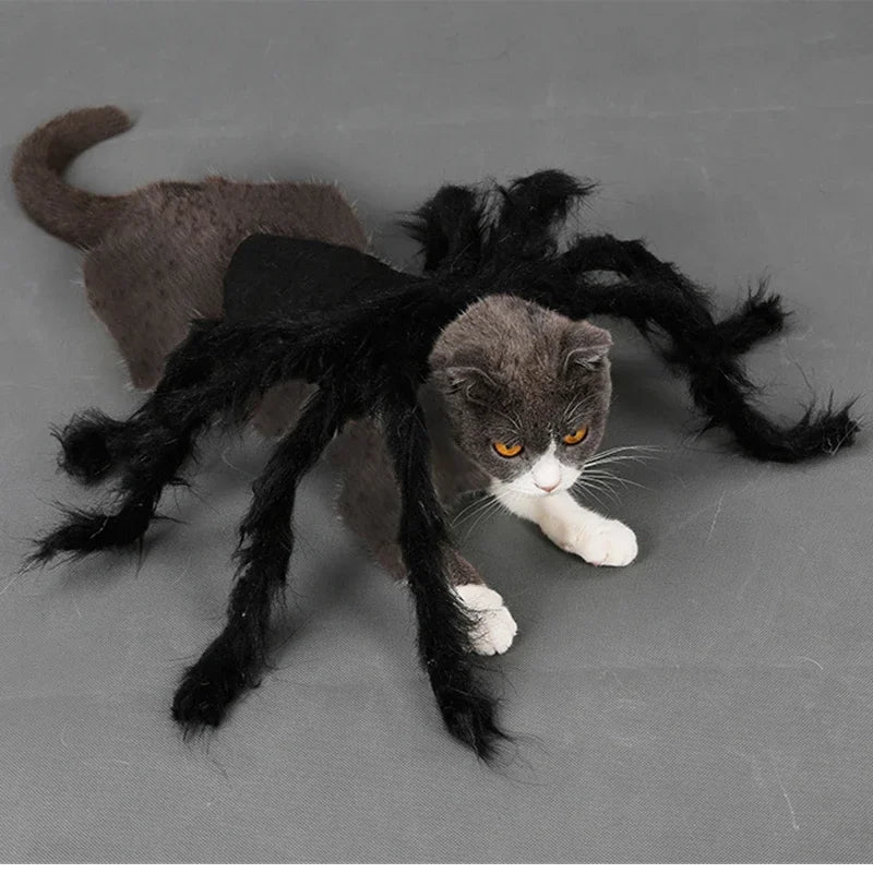 Pet Spider Costume – Halloween Dress-Up for Small Dogs & Cats