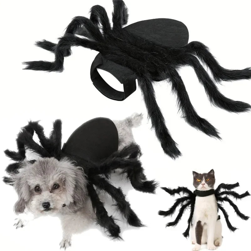 Pet Spider Costume – Halloween Dress-Up for Small Dogs & Cats