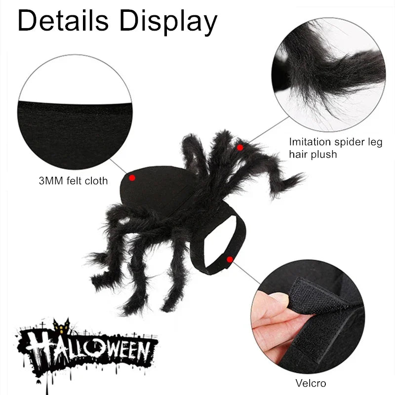 Pet Spider Costume – Halloween Dress-Up for Small Dogs & Cats