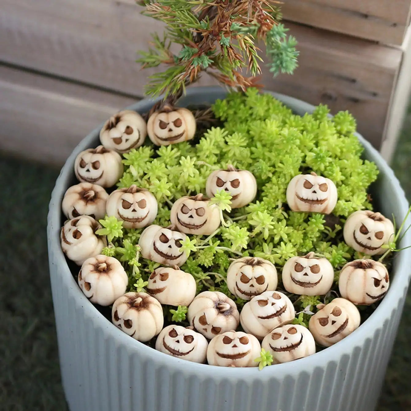 20pcs Mini Resin Pumpkins – Realistic Halloween Party & Garden Décor