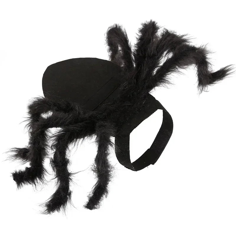 Pet Spider Costume – Halloween Dress-Up for Small Dogs & Cats