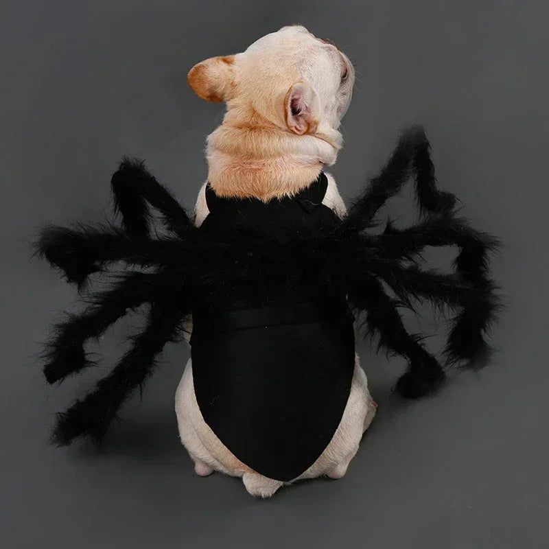 Pet Spider Costume – Halloween Dress-Up for Small Dogs & Cats
