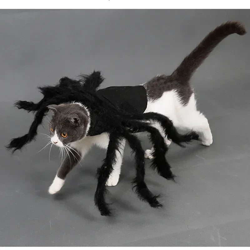 Pet Spider Costume – Halloween Dress-Up for Small Dogs & Cats
