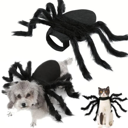 Pet Spider Costume – Halloween Dress-Up for Small Dogs & Cats