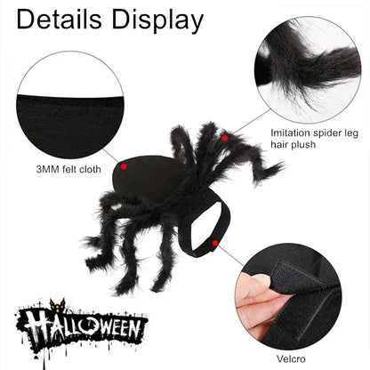 Pet Spider Costume – Halloween Dress-Up for Small Dogs & Cats