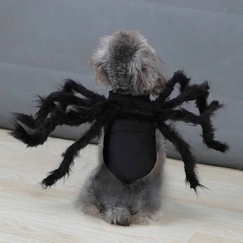 Pet Spider Costume – Halloween Dress-Up for Small Dogs & Cats