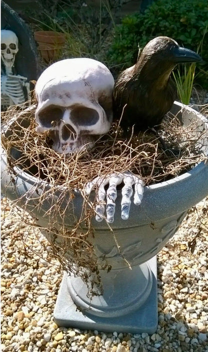 Skeleton Stakes – Realistic Skull & Hand Arms for Halloween Decor
