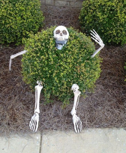 Skeleton Stakes – Realistic Skull & Hand Arms for Halloween Decor